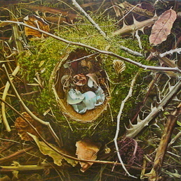 2012: Landscape