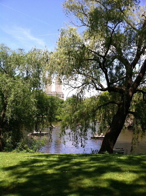 Central Park, NYC 1