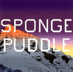 Sponge Puddle